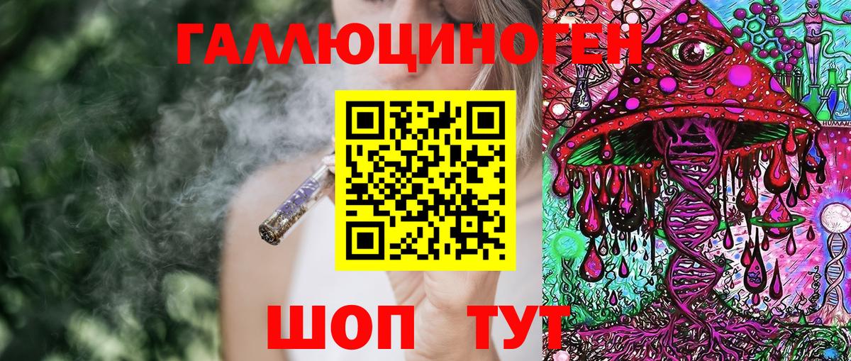 Псилоцибиновые грибы Psilocybe  Вход с VPN  Псилоцибиновые грибы прущие грибы  Дербент 